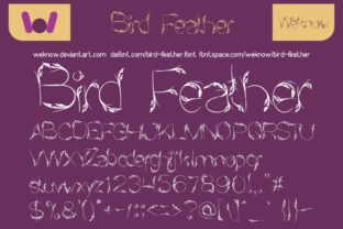 Bird Feather: A Display Font That Elevates Digital Branding