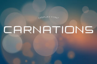 Carnations: A Modern Display Font for Scroll-Stopping Campaigns