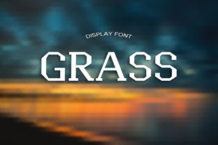 Grass: A Thoughtful Display Font for Editorial Calm
