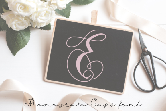 Monogram Swans: A Display Font That Makes Your Brand Feel Like It Belongs